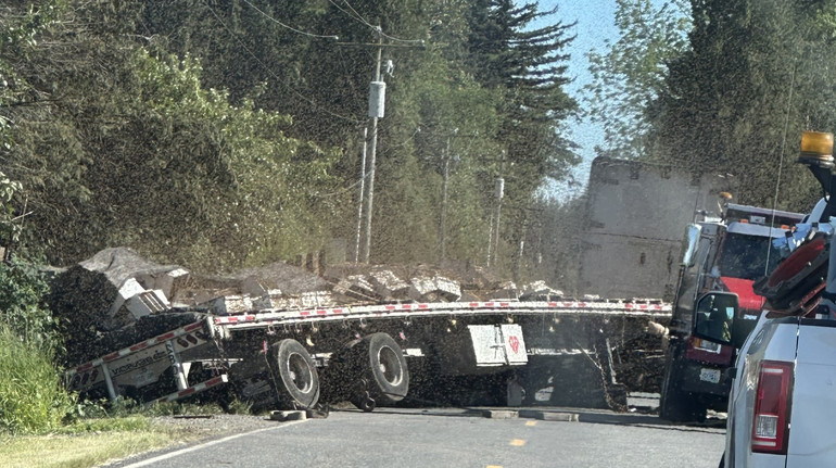 In the USA through an accident to escape 250 million bees: photos