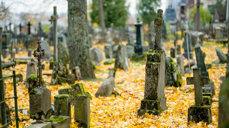 Несподіваний доказ: у США шматок моху, виявлений серед останків, допоміг засудити розкрадачів могил