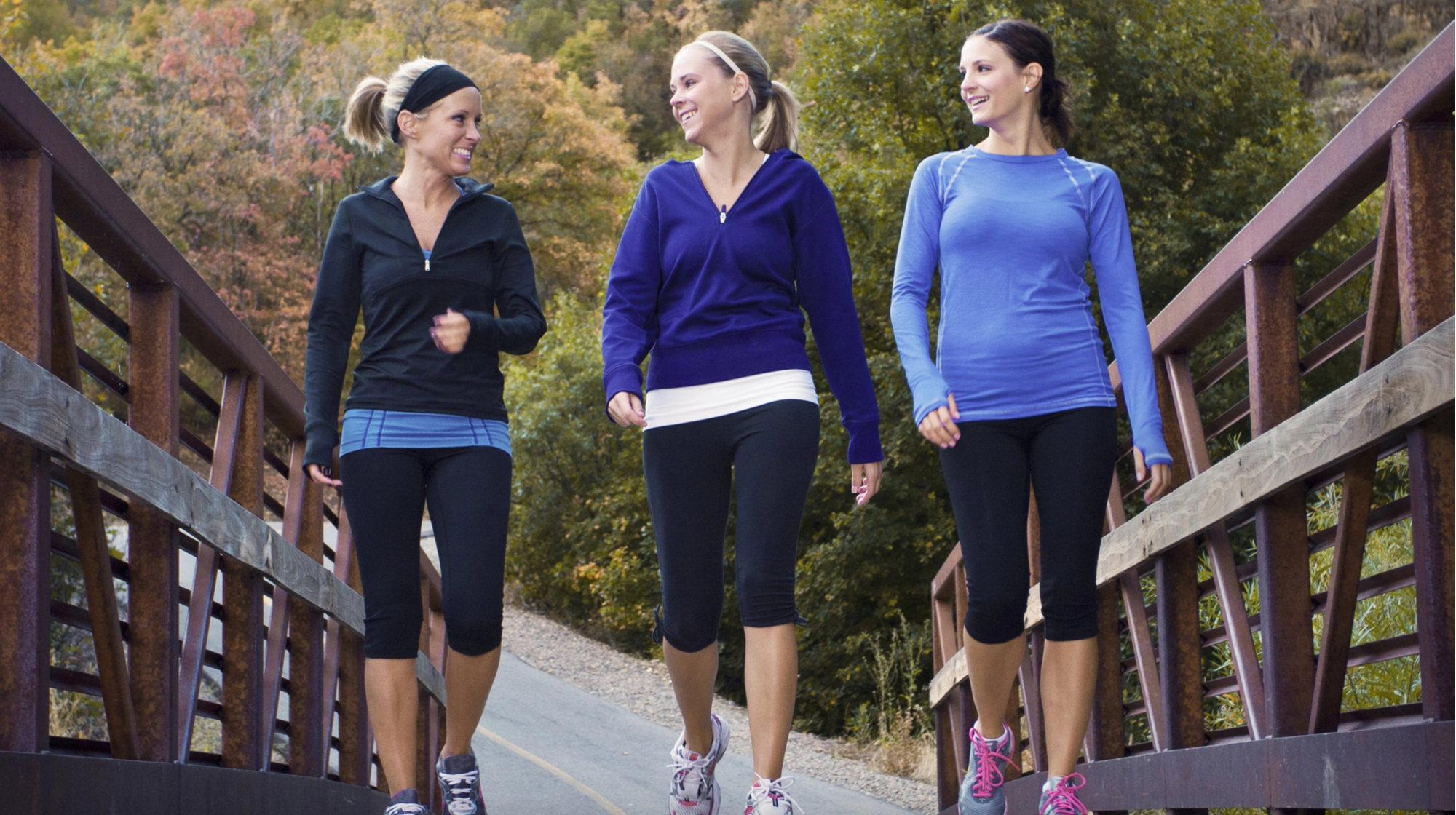 Daily walking reduces the risk of cardiovascular diseases and premature death