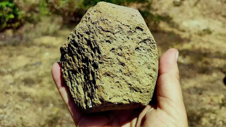 Кам'яні знаряддя, знайдені в Україні, виявилися найдавнішими в Європі: вчені встановили їхній вік