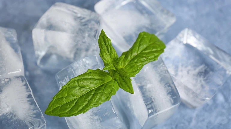 Чому м'ята викликає відчуття холоду? Вчені нарешті отримали відповідь