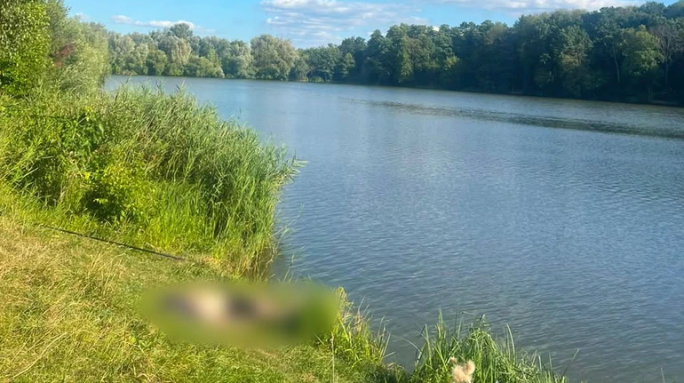 Зачепився гачком за дріт: на Харківщині чоловік помер від удару струмом під час риболовлі