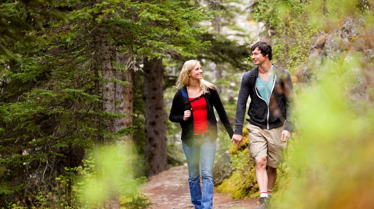 Природний антистрес: як прогулянка у лісі впливає на наше здоров’я?