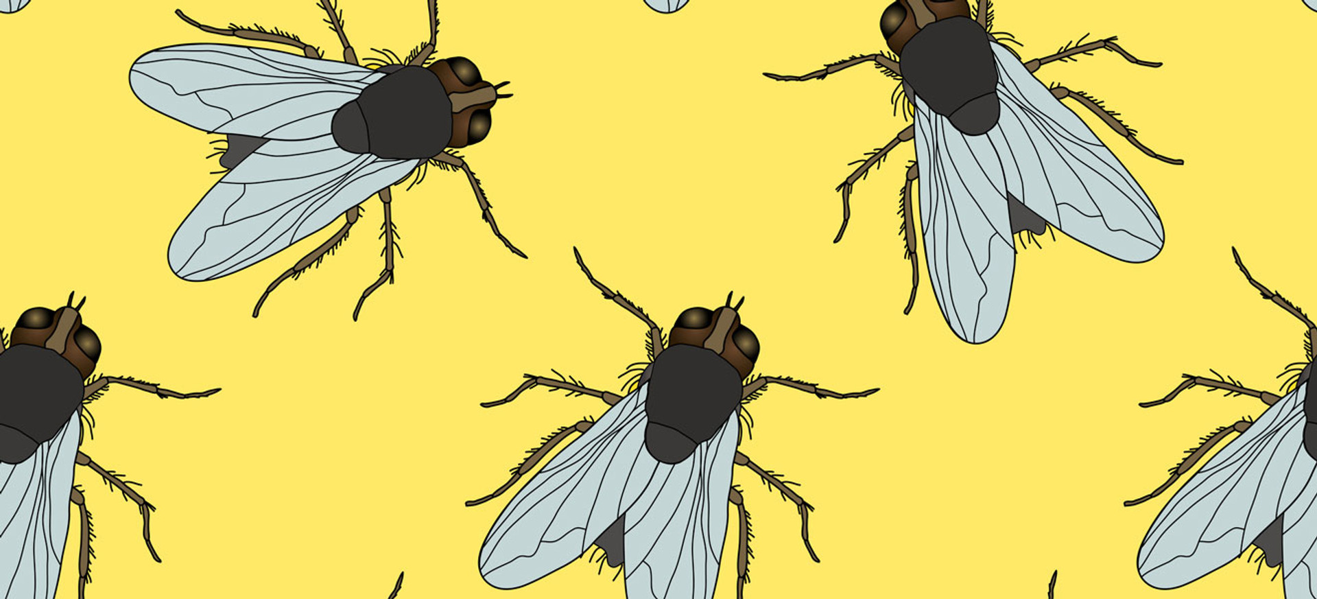 Дематюкація, або Інколи вилаятися може допомогти муха