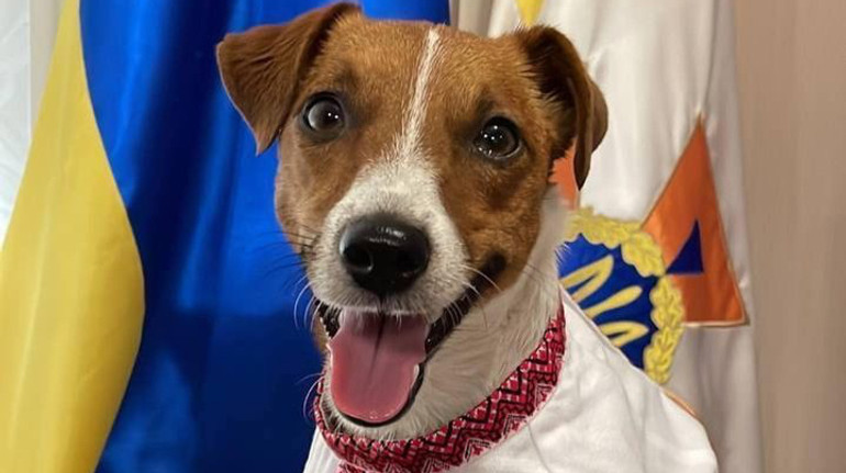 Показали текст цьогорічного радіодиктанту Треба жити! Кузнєцової