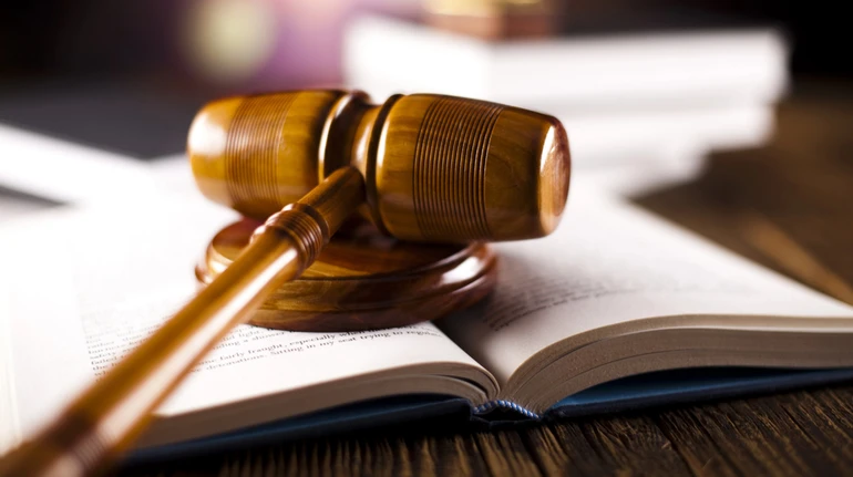 Побиття коней на фестивалі на Прикарпатті: поліція відкрила кримінальне провадження