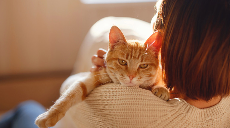 4 неочевидних факти: як коти покращують ваше життя та здоровʼя