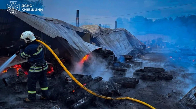 На Київщині горів притулок Сіріус, в якому мешкають 3200 тварин: загинули собаки