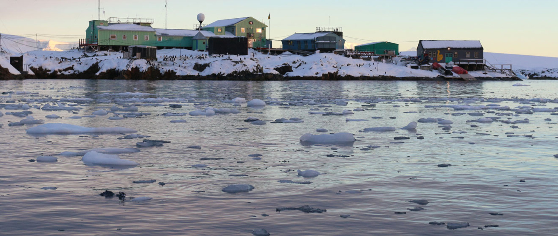 Як на українській станції Вернадського в Антарктиці рахуватимуть пінгвінів і китів