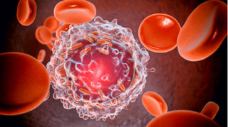Дослідники знайшли спосіб знешкоджувати ракові клітини без шкоди для здорових