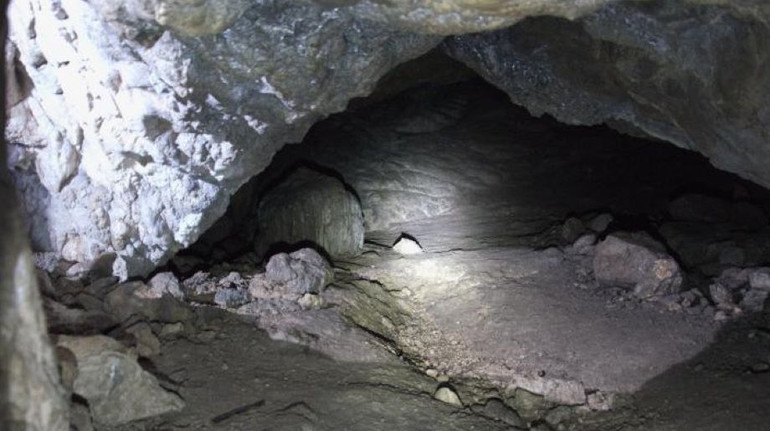 На Закарпатті взяли під охорону печерну стоянку, де жили люди кам’яного віку