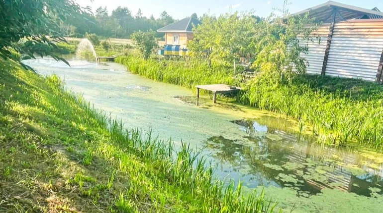 На Рівненщині 2-річний хлопчик потонув у водоймі біля дому: поліція відкрила справу
