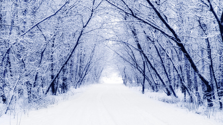 Яка погода буде у грудні та коли може розпочатися метеорологічна зима? Прогноз на місяць