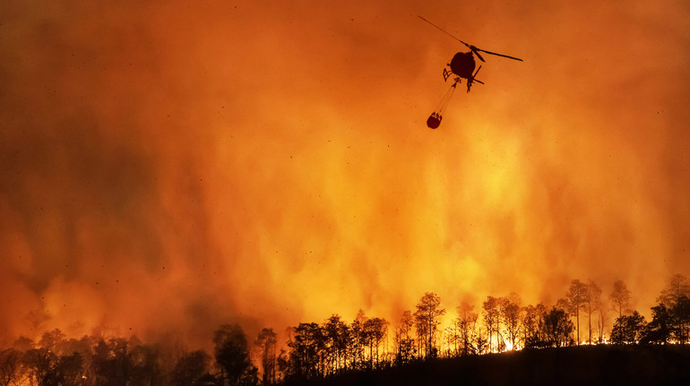 За останні 45 років кількість днів із високим ризиком пожеж зросла втричі – вчені