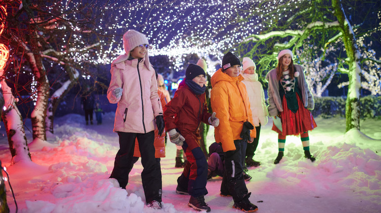 Рекордний показник: Зимову Країну на ВДНГ відвідали понад 1,2 млн людей