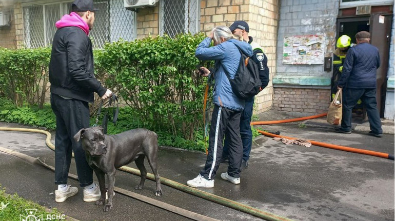 У Києві рятувальники винесли понад 10 собак і котів з квартири, охопленої вогнем: 6 тварин загинули
