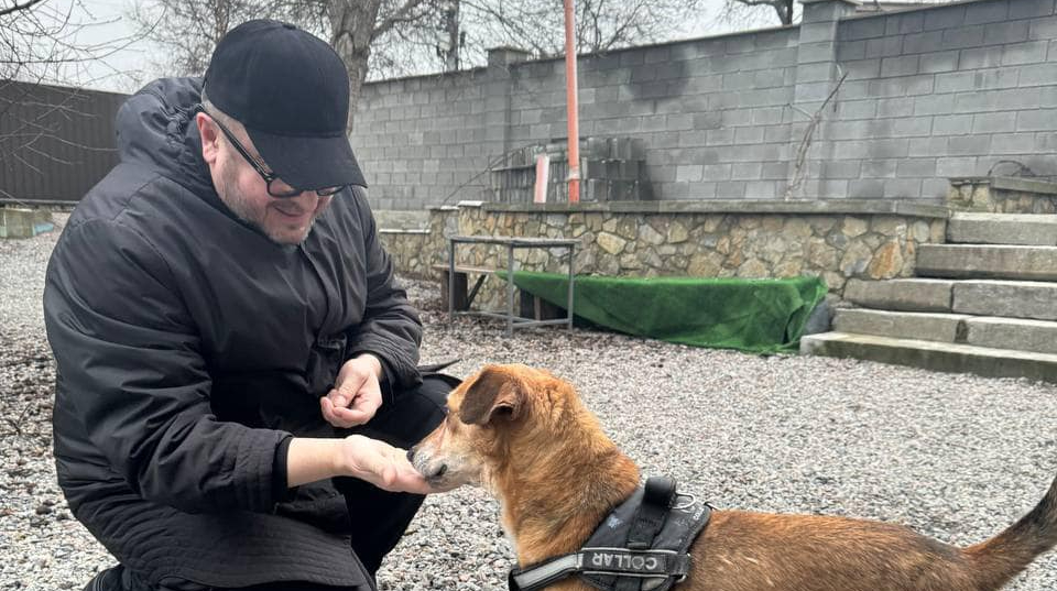 He tried to bite off his paws: volunteers saved a dog that was threatened with euthanasia – News