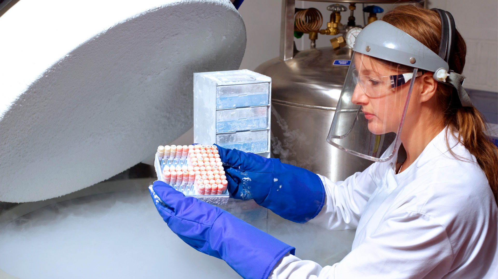 Постмортальна репродукція по-українськи: аналізуємо білі плями в законодавстві