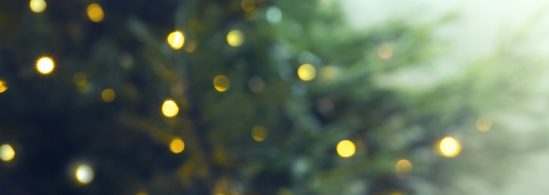 Де ялинка найкрасивіша? Фотогалерея різдвяних дерев у різних містах України