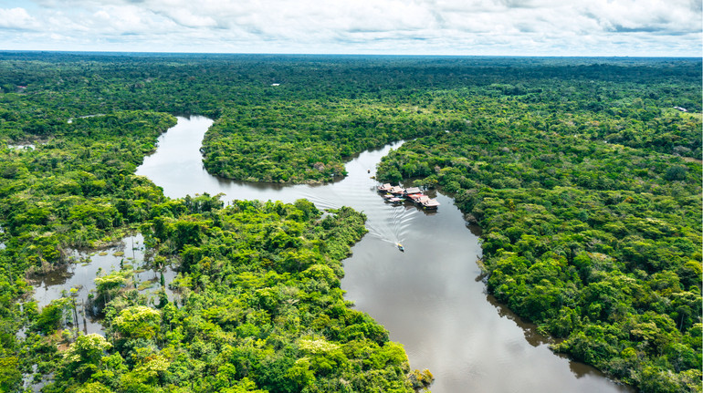 Межу вже перетнули: дослідники спрогнозували майбутнє лісів Амазонії
