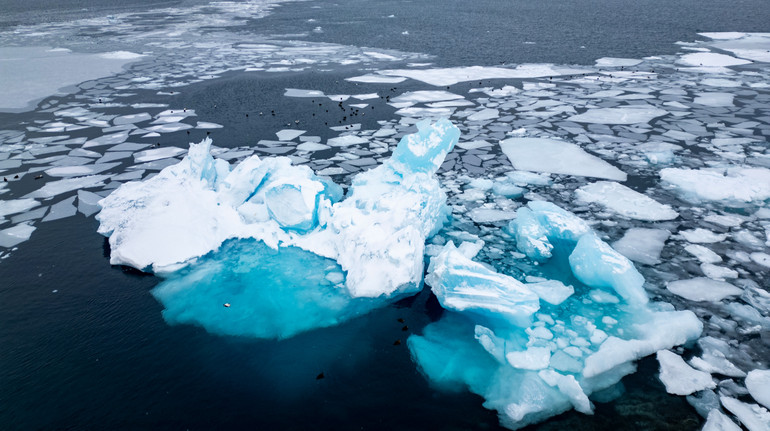 Найвища температура за 125 років: Арктика пережила рік рекордної спеки й танення льоду