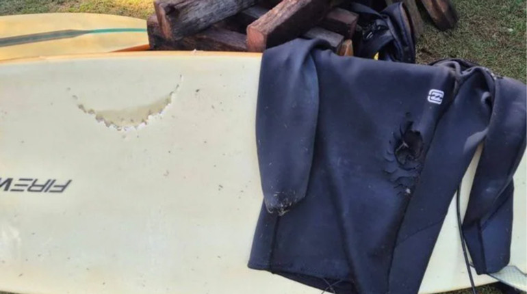 За дві доби – чотири напади: в Австралії акули атакують відпочивальників, деякі пляжі закрили