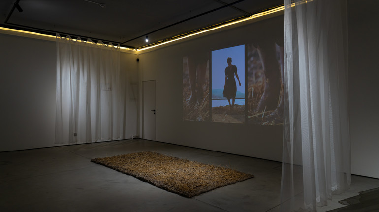 У Британії та Запоріжжі одночасно відкрилася виставка  про знищене росіянами зерно