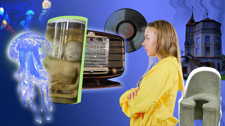 Куди піти на вихідних: 8 неординарних музеїв України