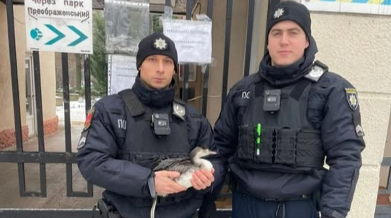 Нещодавно врятували птаха, а нині борються за життя: що відомо про поранених в Одесі поліціянтів