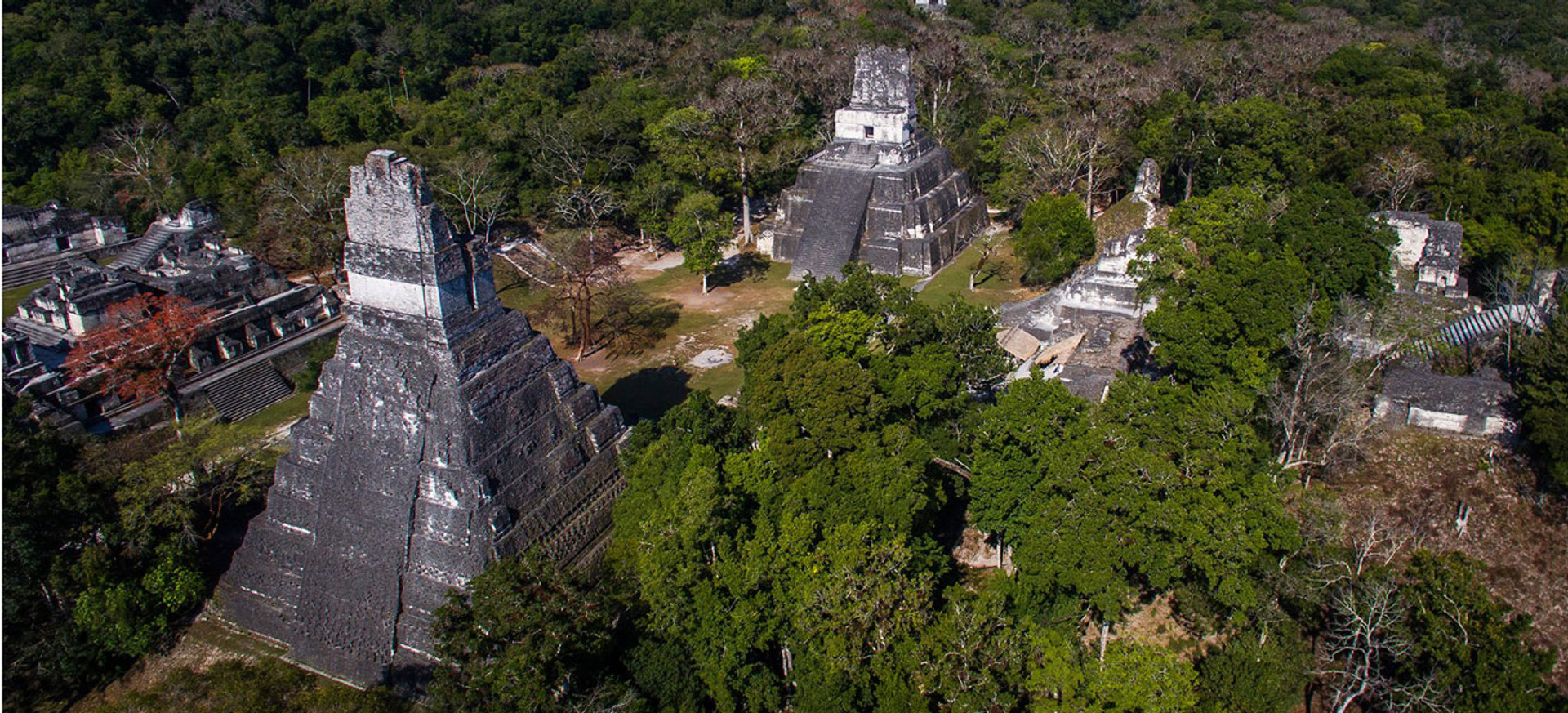Круто розгадувати загадки, які ніхто не може розгадати: як Юрій Полюхович став авторитетним дослідником майя у світі