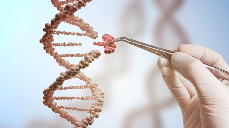 How genes affect the occurrence of mental disorders: Answer