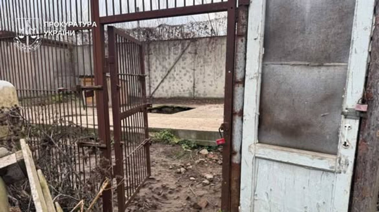 У Хмельницькому з центру реабілітації тварин втекли дві левиці: одну з них вдалося спіймати