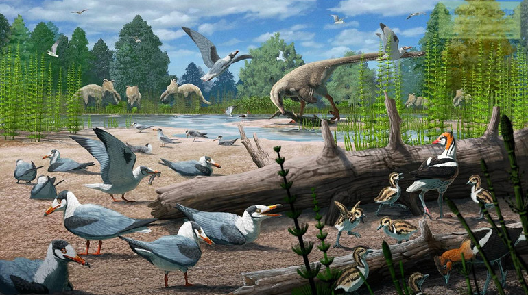 Scientists have found the most ancient fact of breeding birds in the Arctic