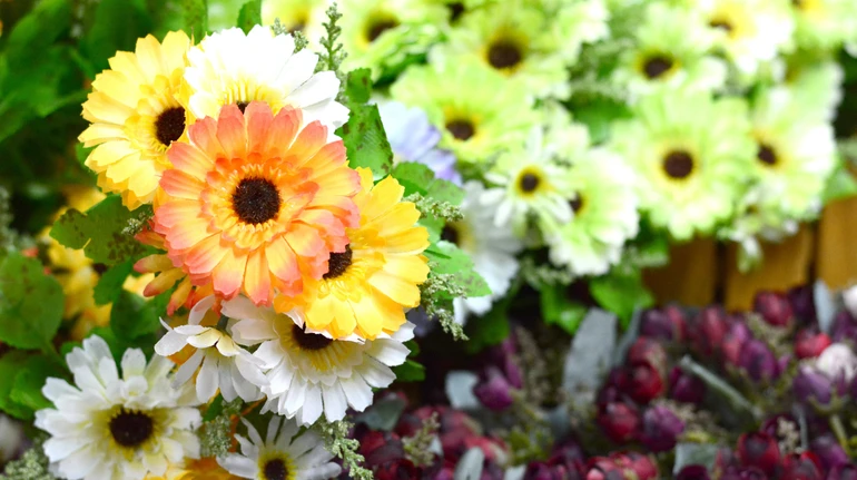 Поминальні дні в Україні: киян закликають обирати живі квіти замість штучних