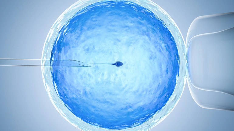 Замінне материнство і зберігання ембріонів: уряд схвалив законопроєкт щодо репродуктивних технологій