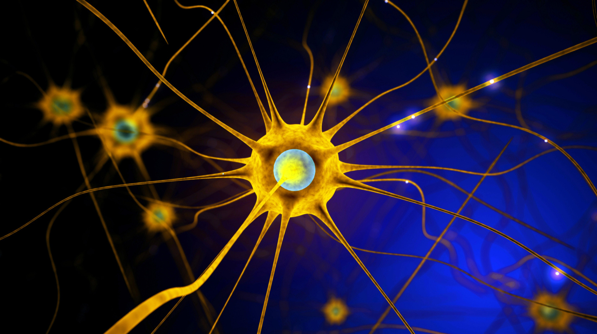 Де шукати блукаючий нерв, чи може він захворіти і що варто про нього знати?