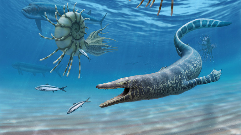 In the US, geologists accidentally found in the swamp the remnants of « sea monster »