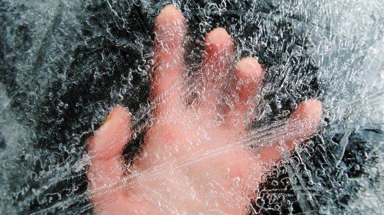 Лайка робить нас сильнішими? Вчені виявили простий спосіб покращити фізичну витривалість