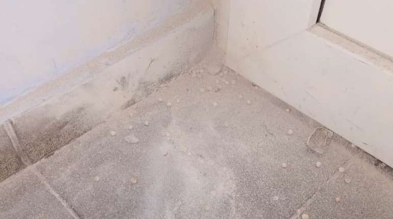 Заради розваги: в одній зі столичних шкіл учень підірвав страйкбольну гранату