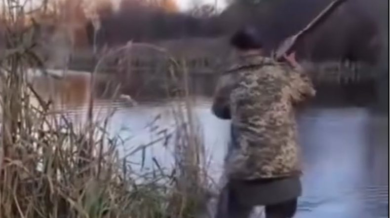 На Житомирщині чоловік кинув у воду кішку і прибив її веслом: поліція розслідує обставини злочину