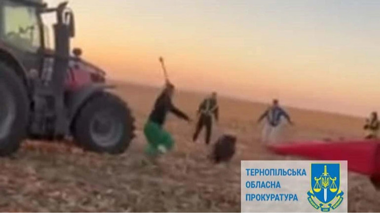 Знущання з диких кабанів на Тернопільщині: обвинувачені уникнули ув’язнення через угоду зі слідством