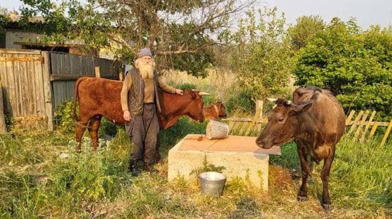 Вивів трьох корів і собаку: біля Ізюма врятували 70-річного чоловіка, який пішки йшов з Донеччини