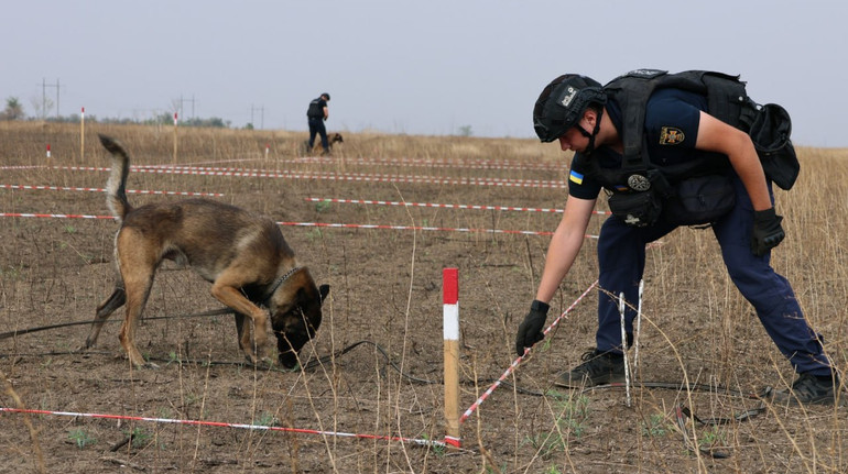 Виявив понад 40 боєприпасів. У ДСНС показали собаку-сапера Арні