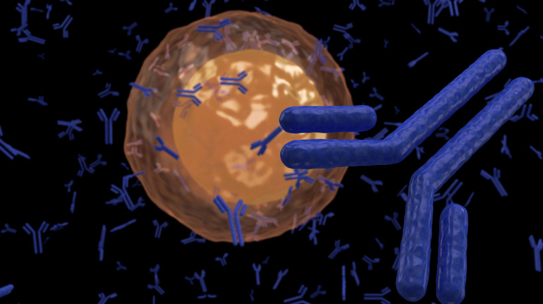 Вчені знайшли новий спосіб посилювати імунну систему для боротьби з раком