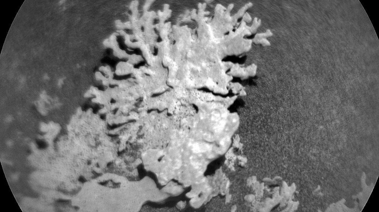 Фантастичні форми: на Марсі вчені знайшли камінь, що нагадує земні корали