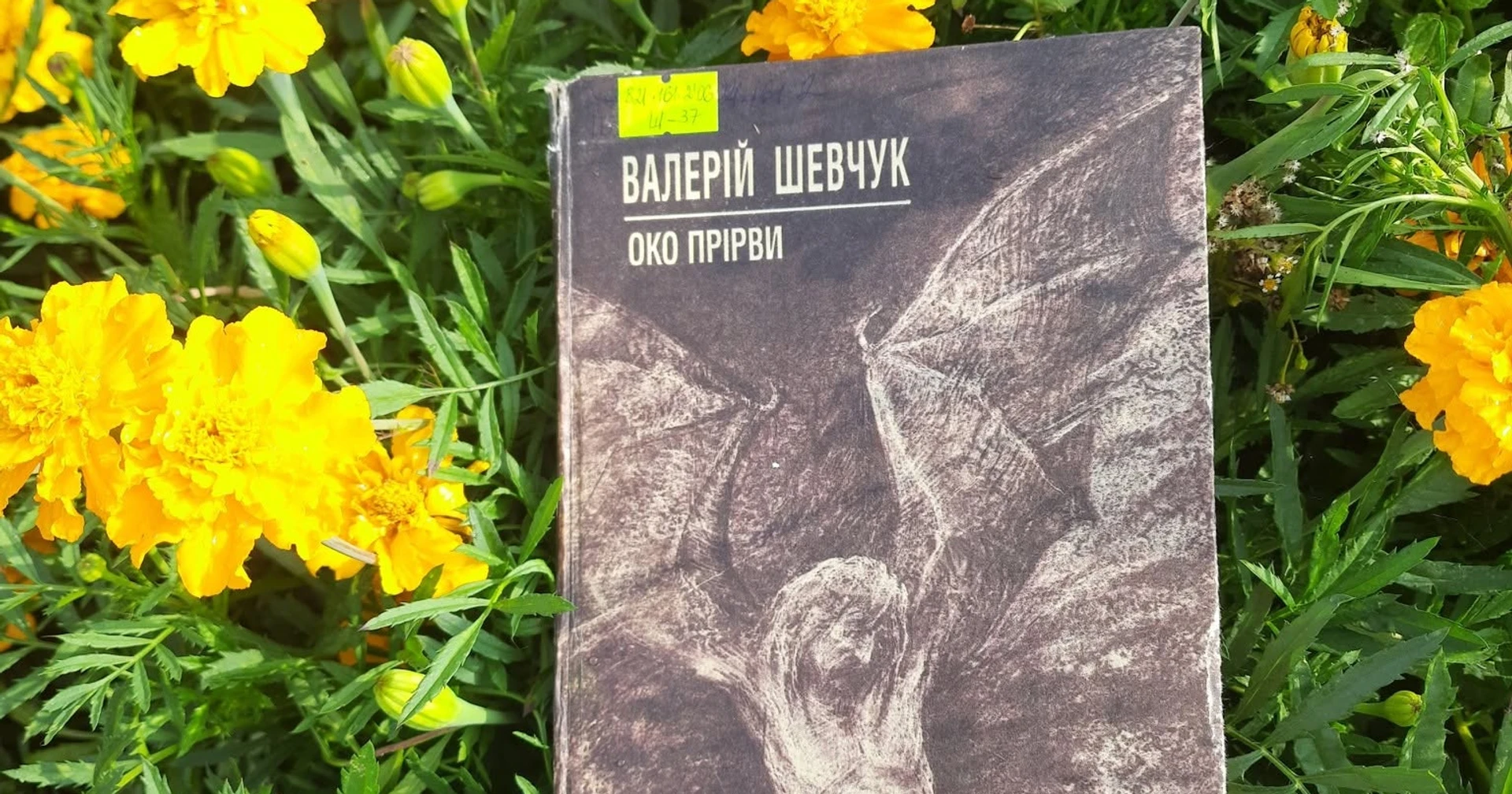 За романом-антиутопією Валерія Шевчука "Око прірви" пишуть сценарій до фільму