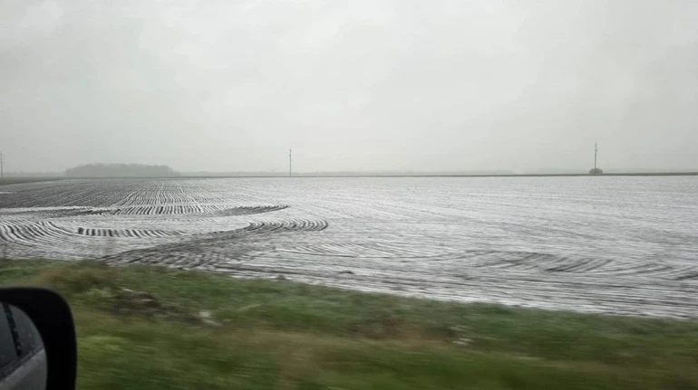 Квітневий сніг: українці діляться фото аномальної погоди