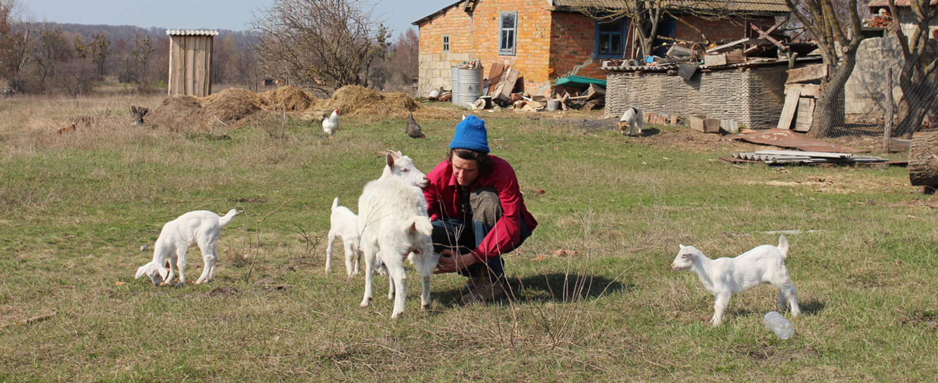 Сільпанк на Полтавщині. Як переселенець з Криму розвиває село, що вимирає 