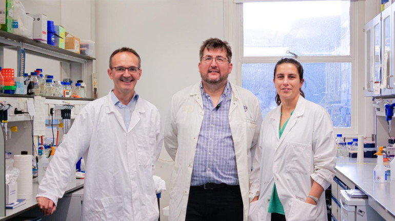 Може допомогти боротися із супербактеріями: науковці неочікувано відкрили новий антибіотик