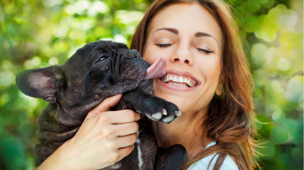 Can you let your dog lick your face: the risks